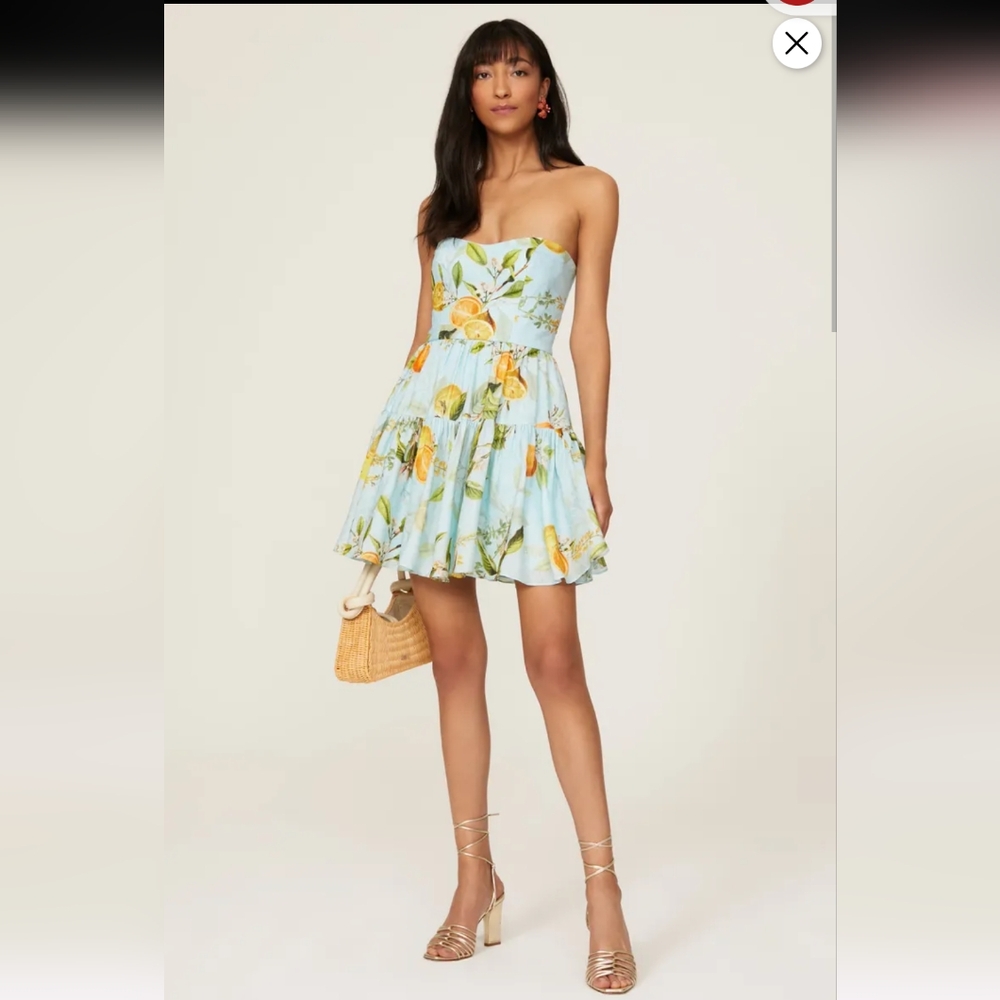 Monique Lhuillier Blue Floral Mini Dress
